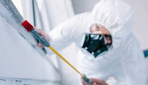 Best Commercial Pest Control  in Belhaven, NC